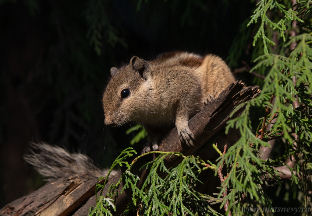 CA8A9872 vk.jpg